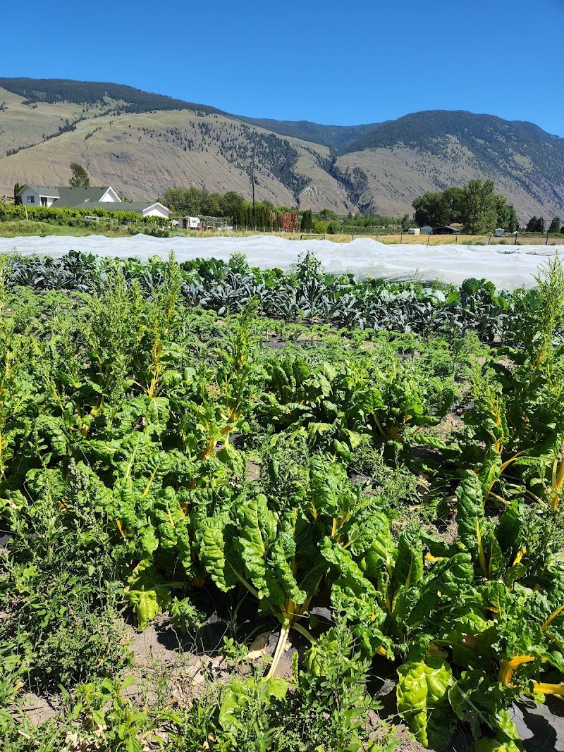 Klippers Organic Acres 4