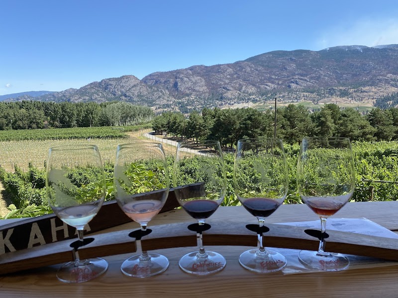 Kraze Legs Winery 3
