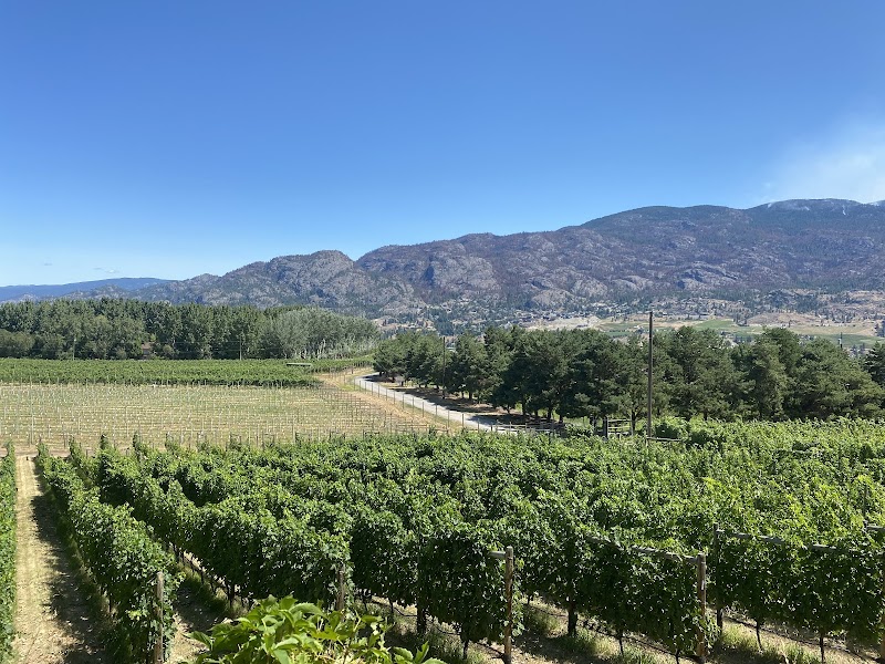 Kraze Legs Winery 5