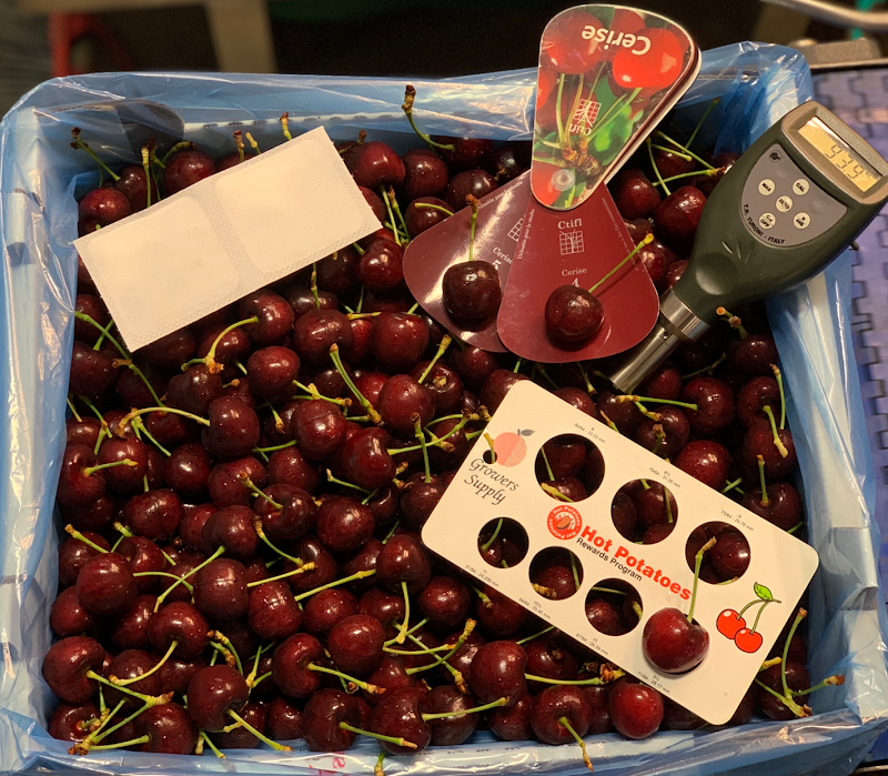 Krazy Cherry Fruit Co. 2