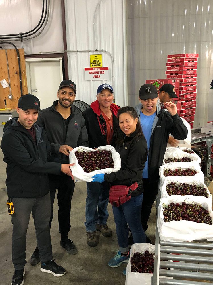 Krazy Cherry Fruit Co.