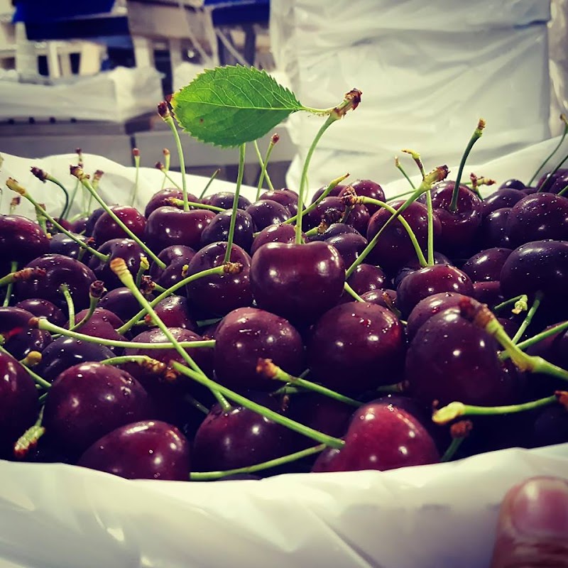 Krazy Cherry Fruit Co. 5