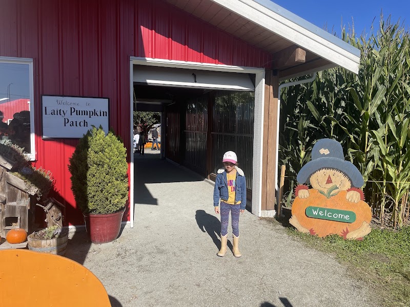 Laity Pumpkin Patch and Corn Mazes (South)
