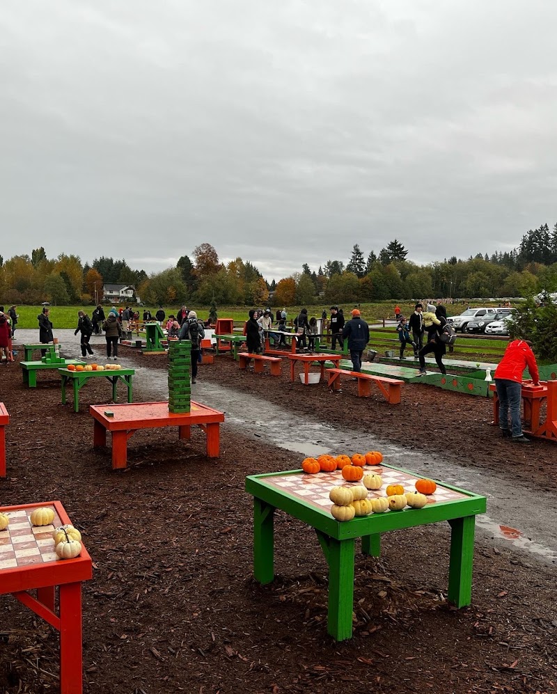 Laity Pumpkin Patch and Corn Mazes (South) 2