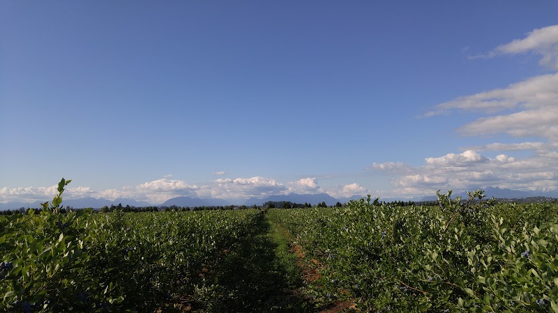 Lally Farms