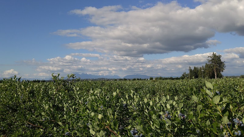 Lally Farms 5
