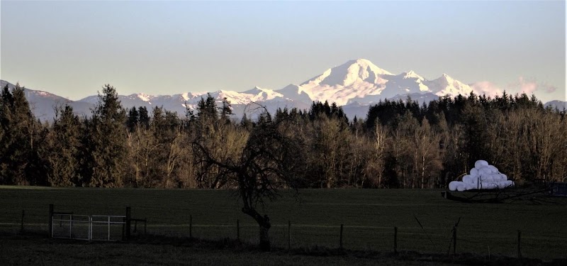LARSON ORGANIC FARM