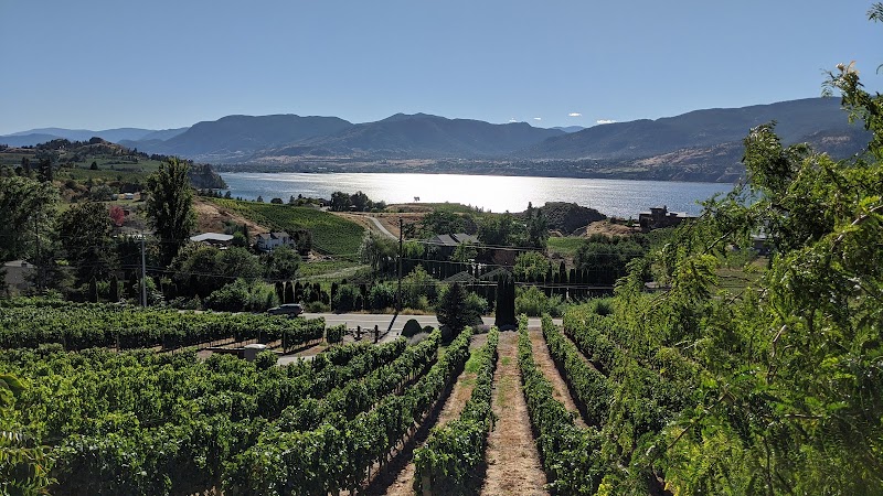 Laughing Stock Vineyards