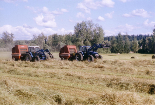 Lazy F D Ranches & Hay Sales Ltd 2