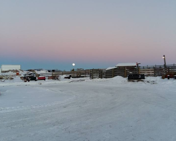 Lazy F D Ranches & Hay Sales Ltd 5