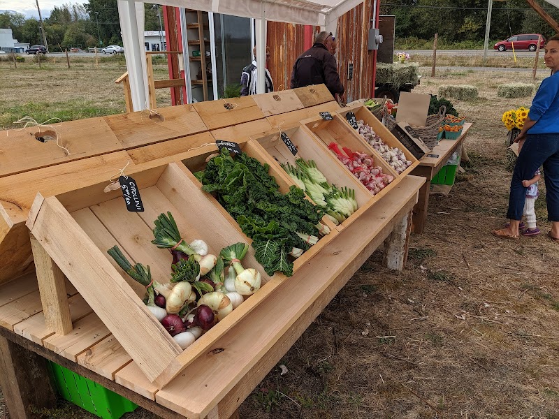 Lentelus Farm Stand 2