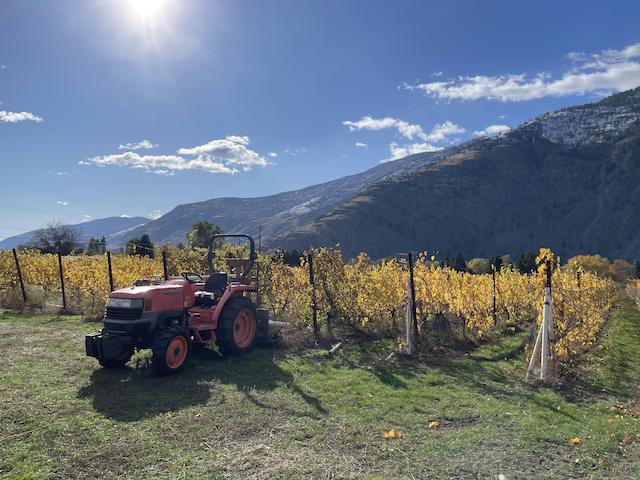 Little Farm Winery 1