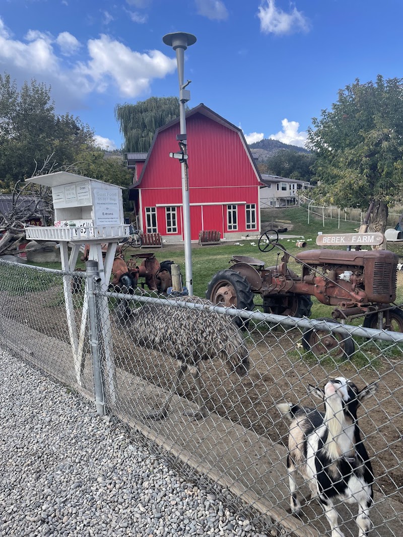 Little Farmers Zoo 4