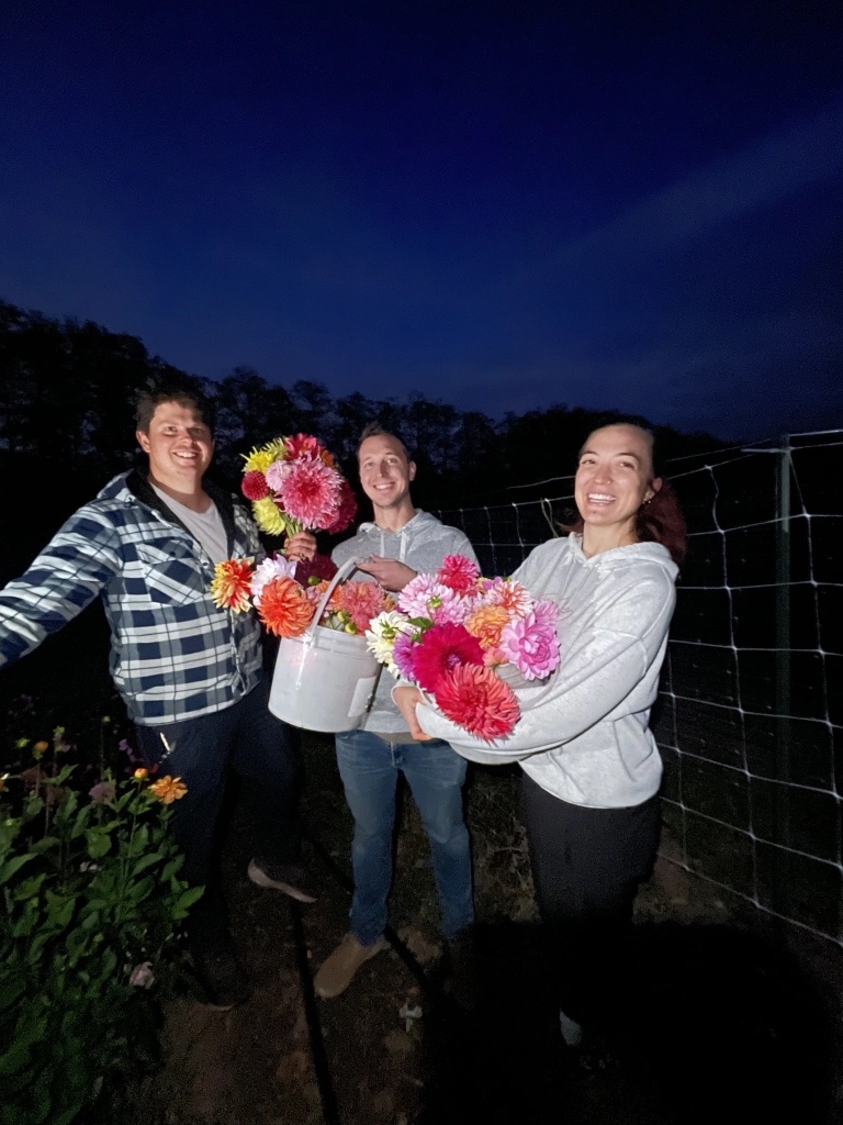 Little Lochside Farm 5
