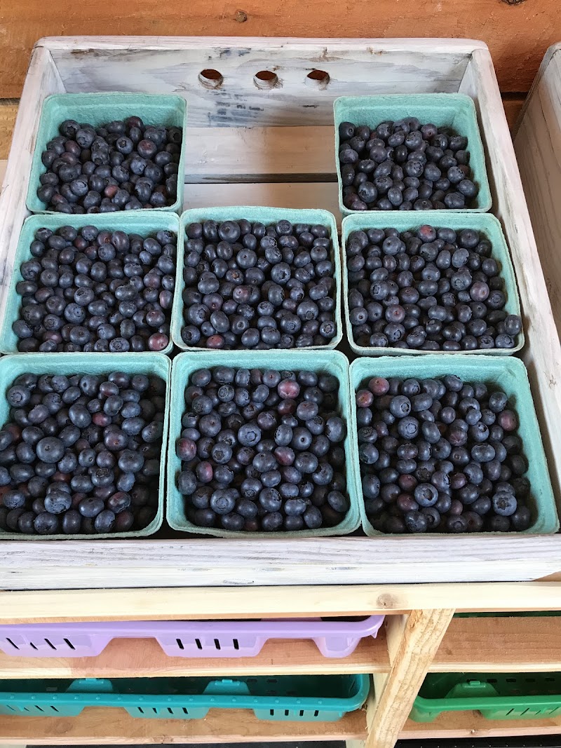 Little River Farms 2