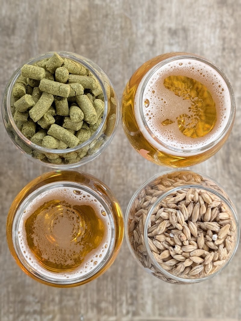 Locality Brewing