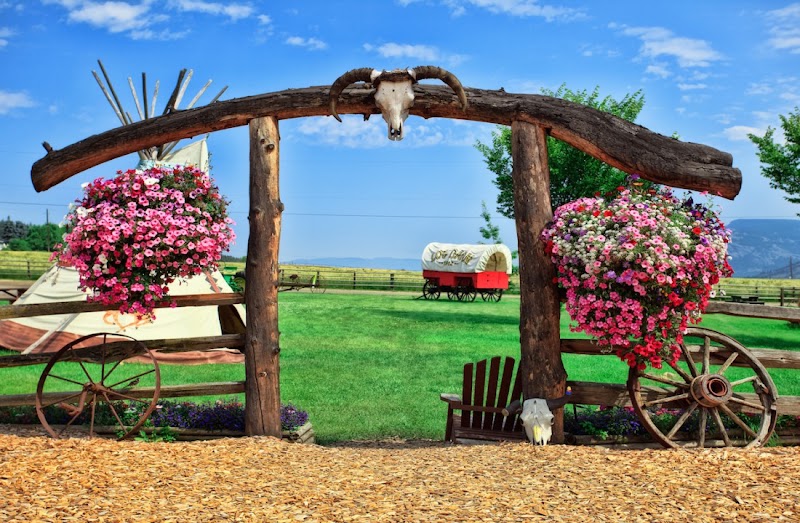 Log Barn 2