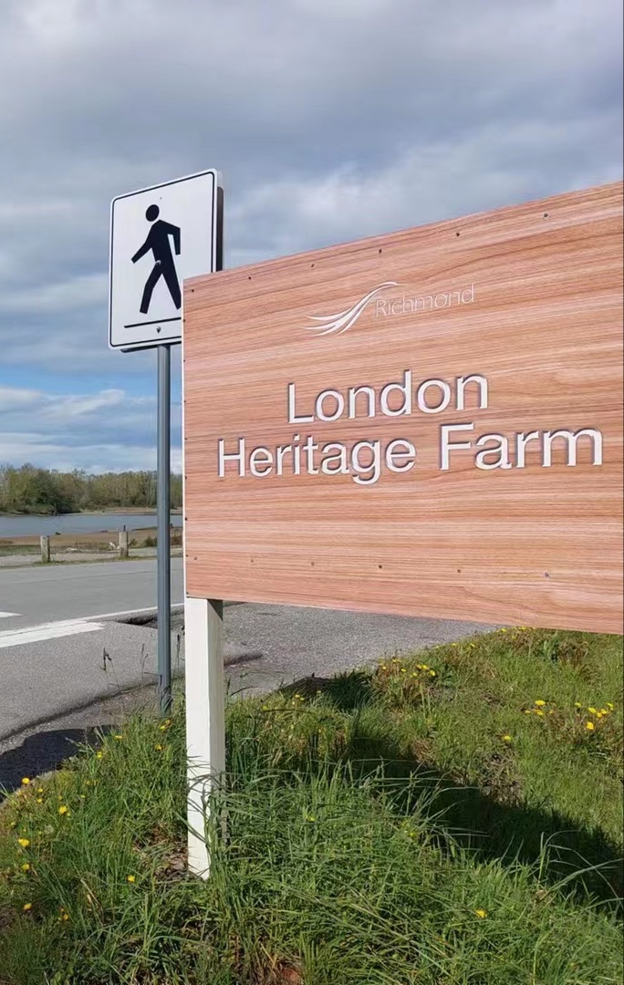 London Farm 5