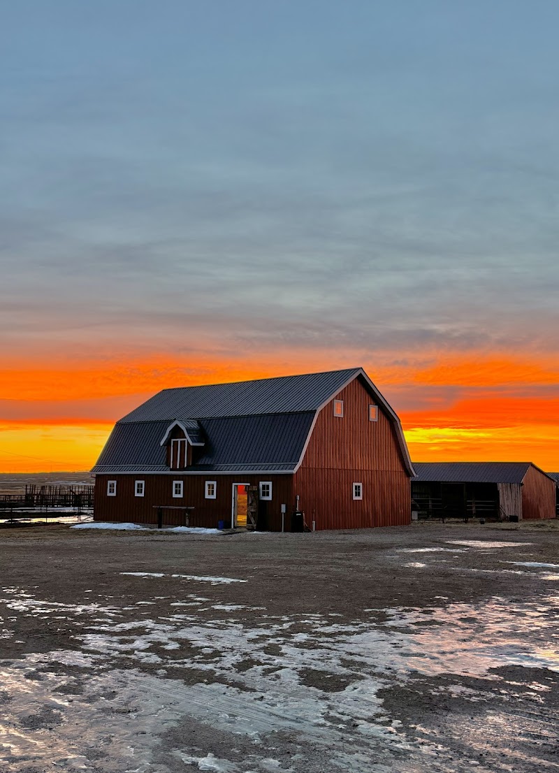 Long Acres Farm