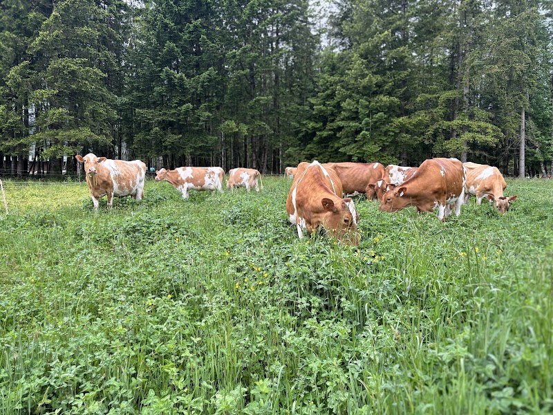 lost savanna farm 2