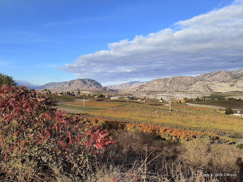 Lual Orchards Ltd 2