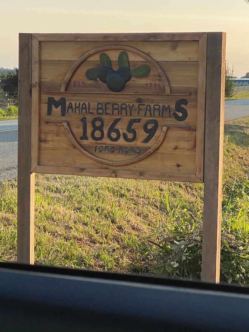 Mahal Berry Farms