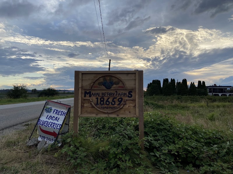 Mahal Berry Farms 3