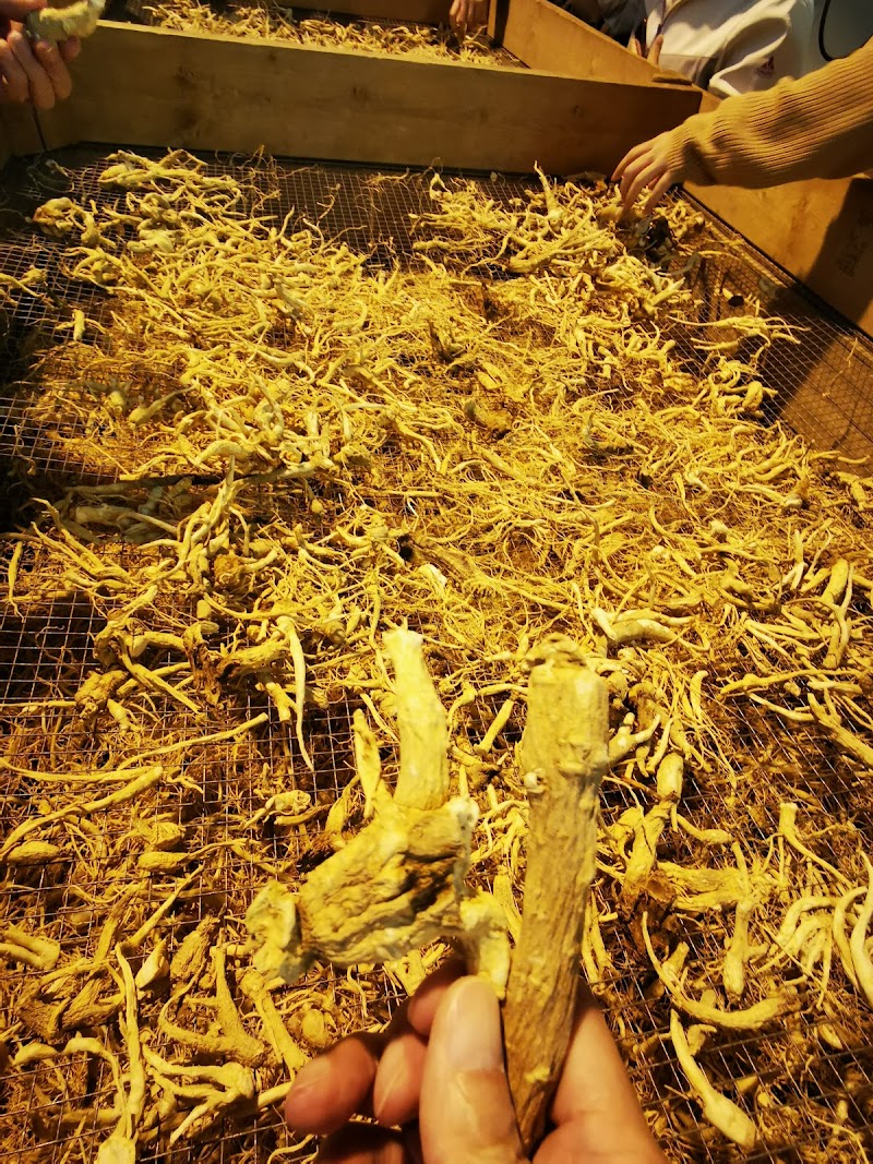Majestic Ginseng Products Limited