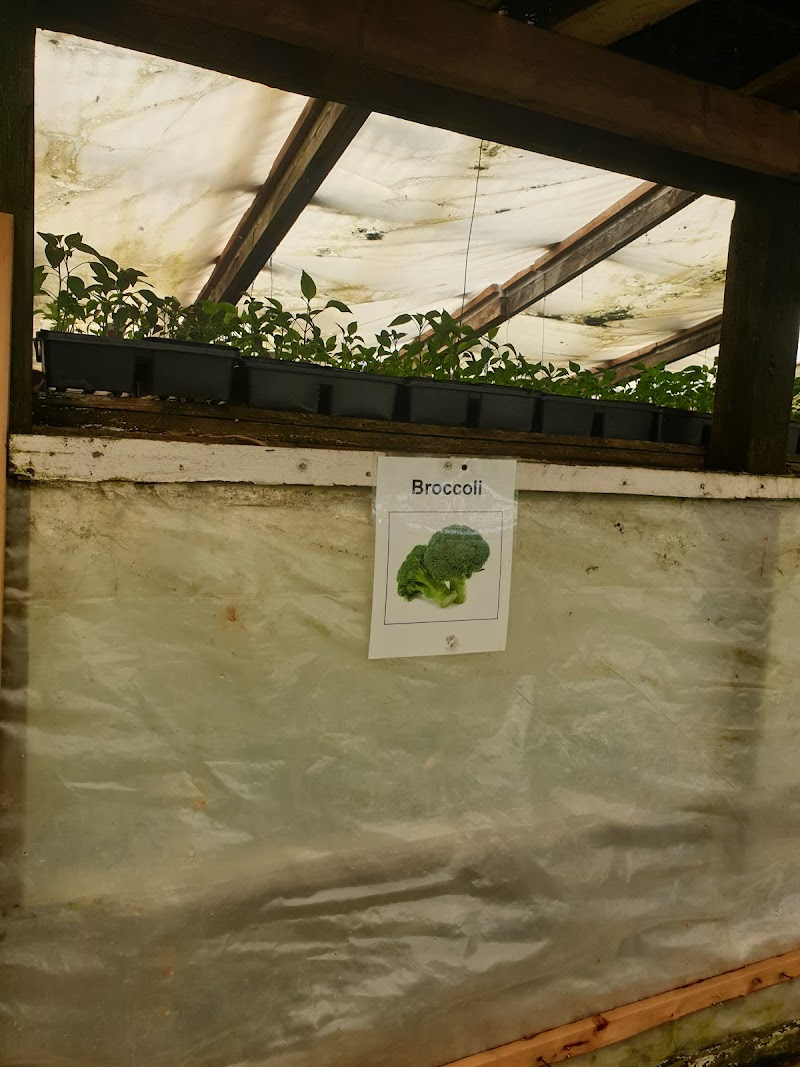 Malhi Farm 3