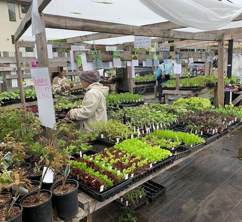 Mason Street Farm & Victoria Edible Nursery
