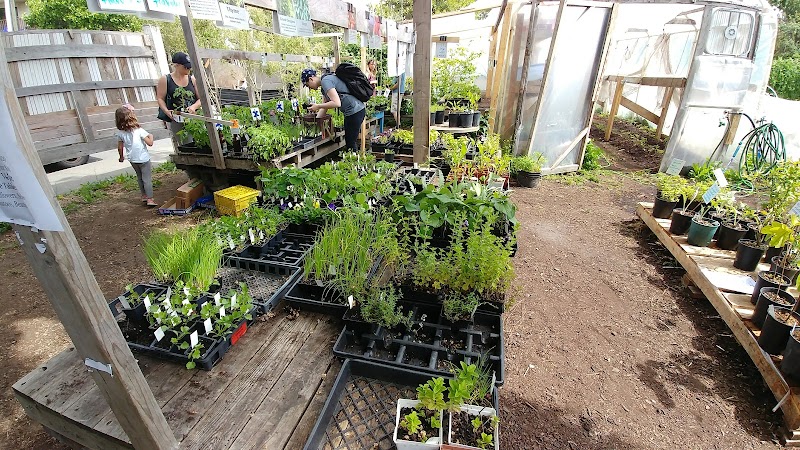 Mason Street Farm & Victoria Edible Nursery 4
