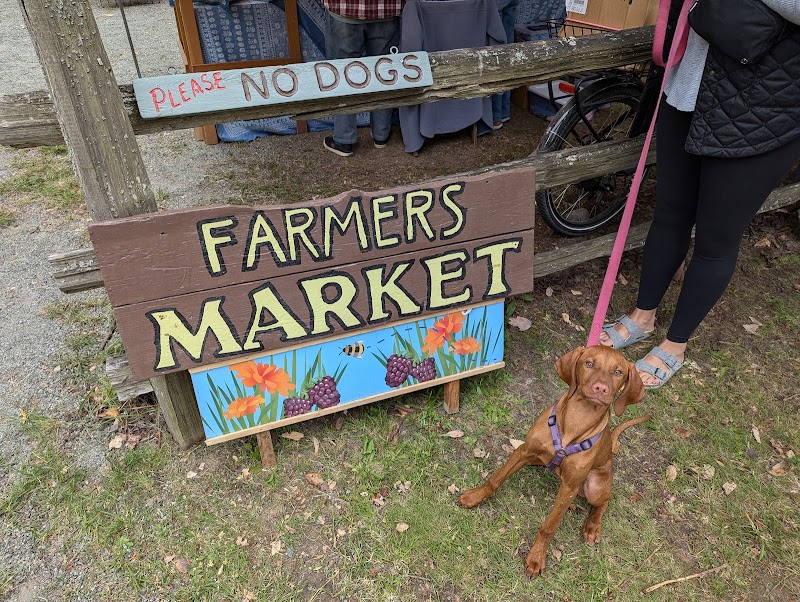 Mayne Island Farmers Market 5