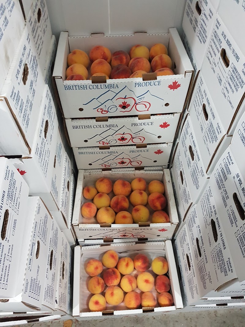 MCCONNELL'S Fruit Market & Orchard 3