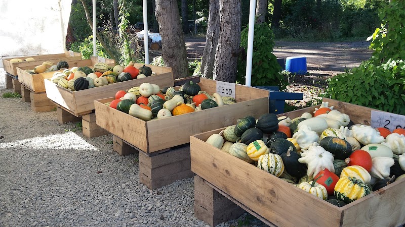 McNab's Produce Farm