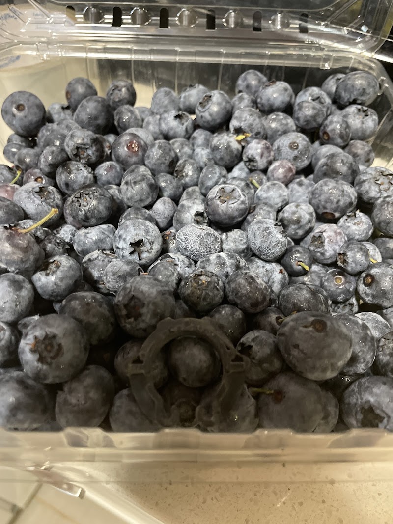 Meadow Berry Farms