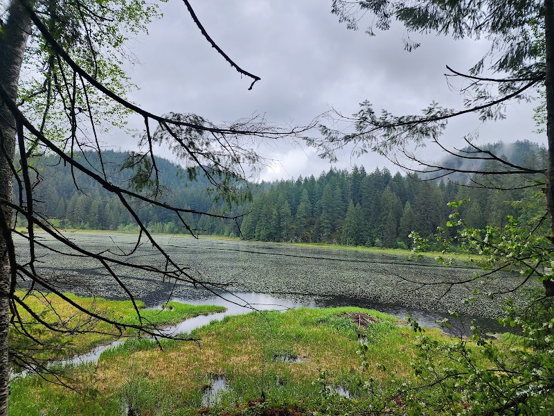 Minnekhada Farm 5