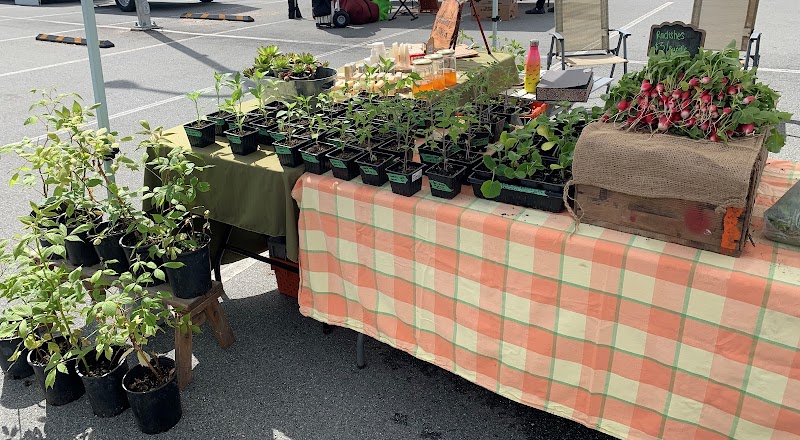 Mission City Farmers Market 5