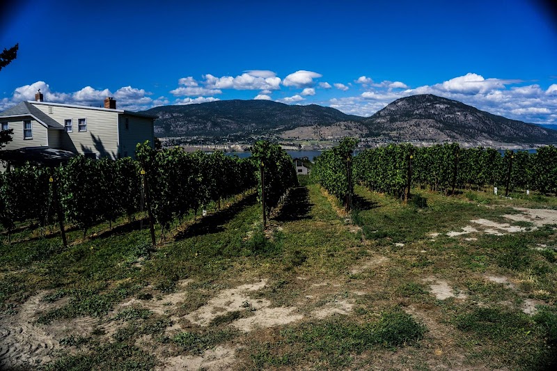 Monster Vinyards 5