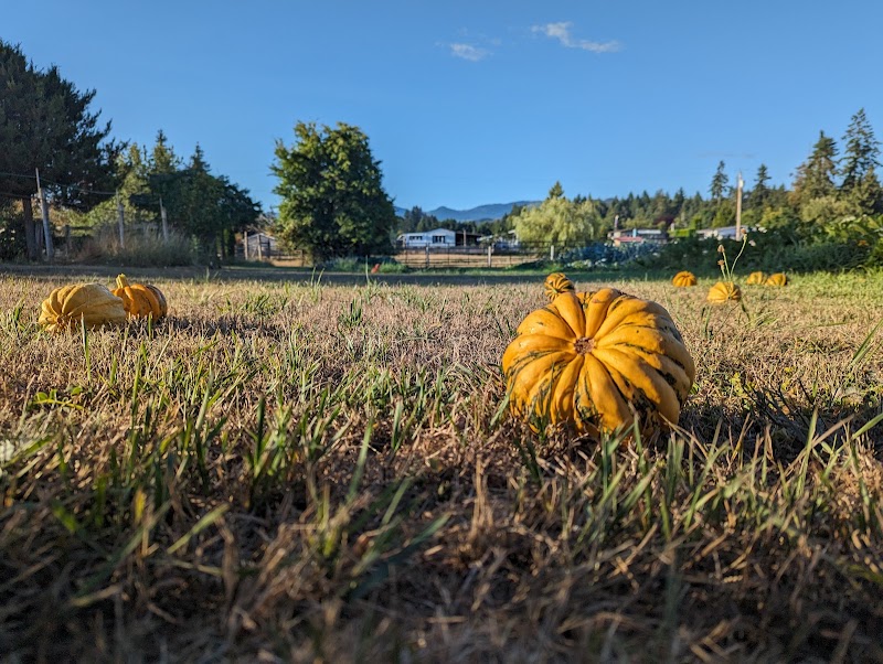 Moose & Bean Farm 5
