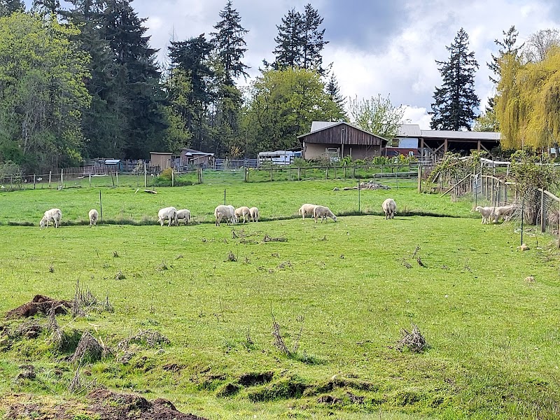 Morgan Creek Farm