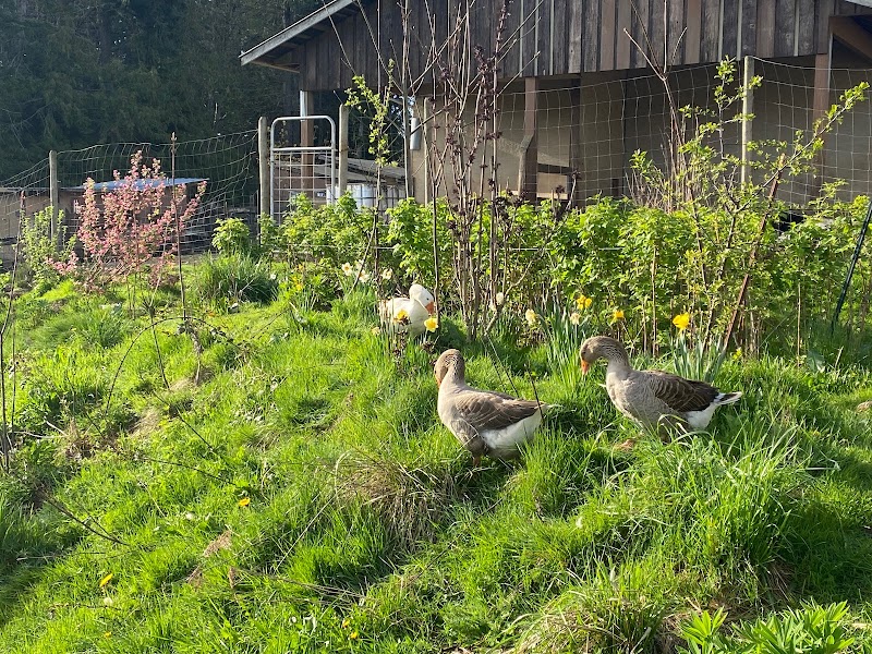 Morgan Creek Farm 2