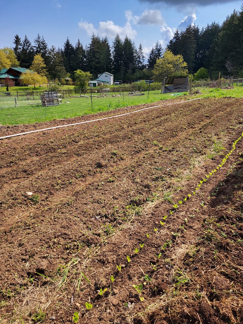 Morgan Creek Farm 5