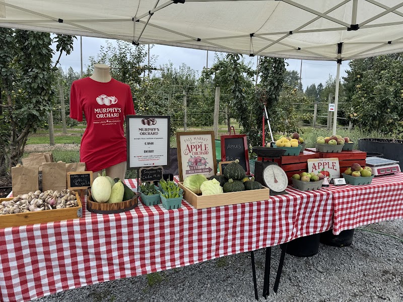 Murphy's Orchard