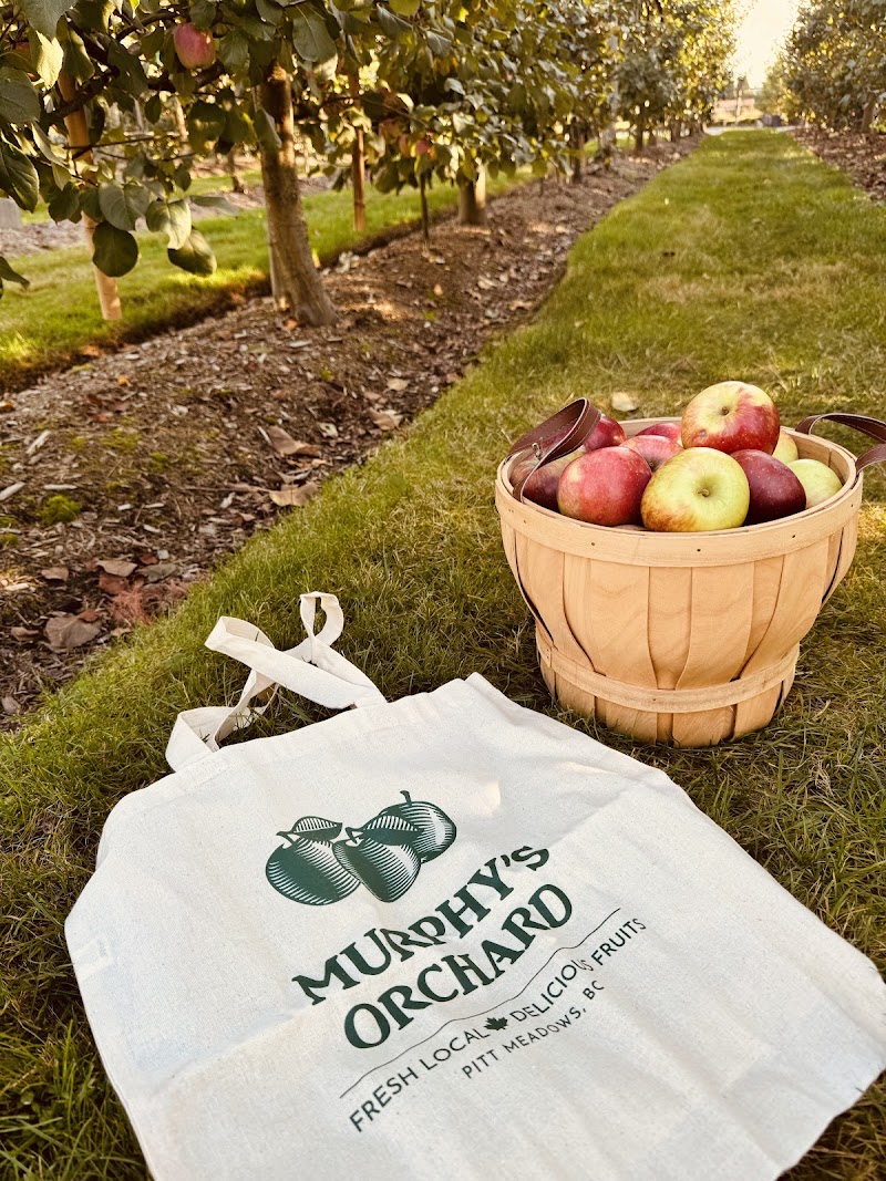 Murphy's Orchard 5