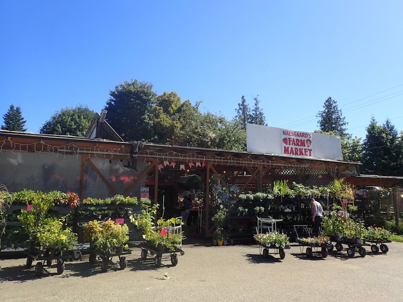 Naesgaard's Farm & Market
