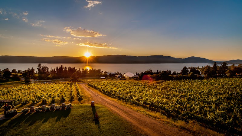 Nature’s Table at Summerhill Pyramid Winery 3