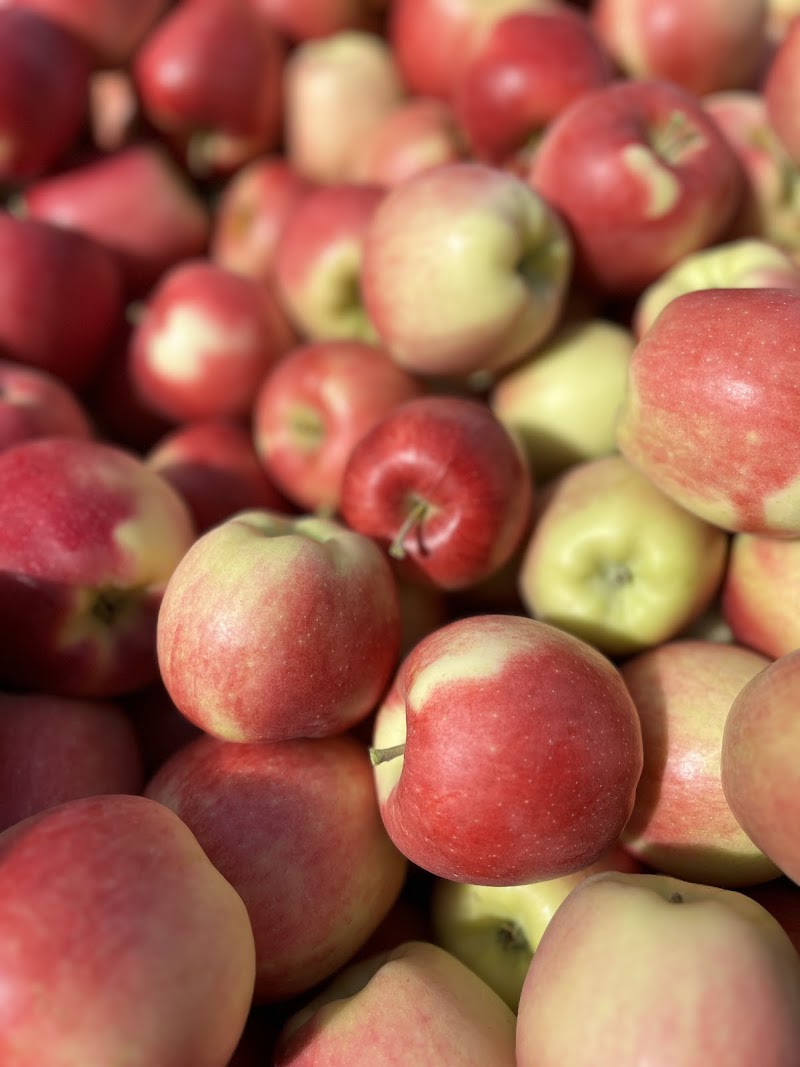 Nelson-Rouleau Tree Fruits 2