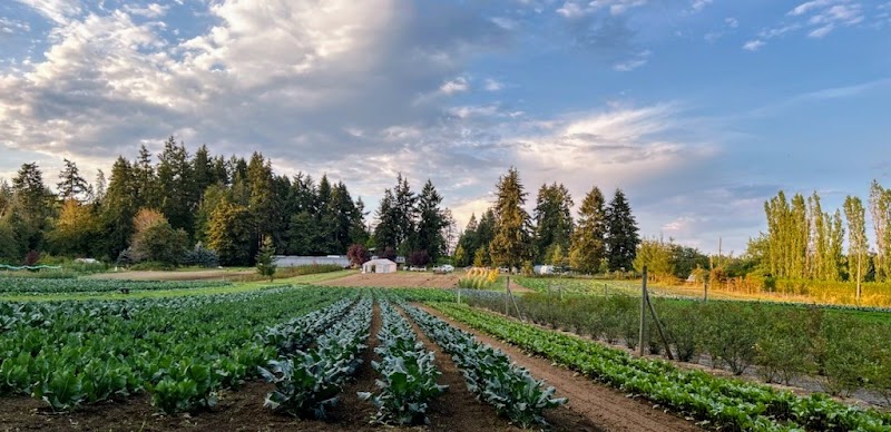 Nesvog Family Farm 4