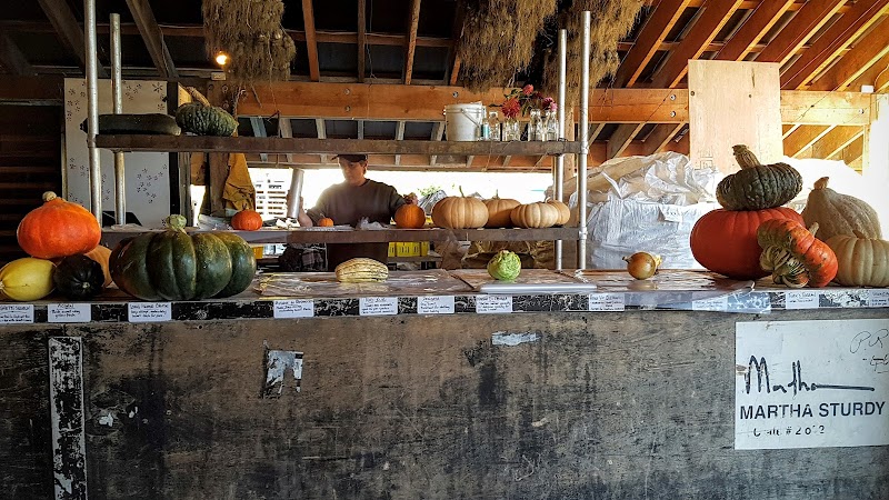 North Arm Farm 4