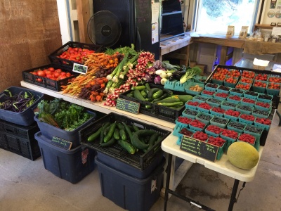 North End Farm 2